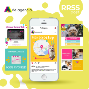 8.instagram-mascotas